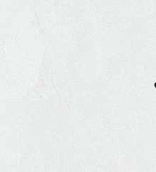 Серые обои в зал Bernardo Bartalucci Gaga  84284-19