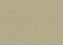 Зелёные обои для стен Rasch Florentine Incanto 820577